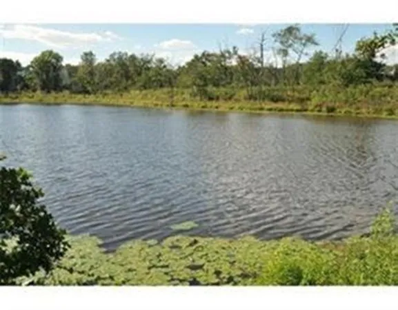 a view of a lake from a yard
