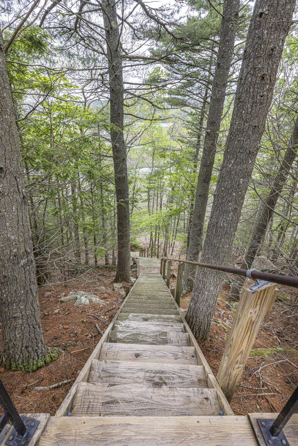 185 Bowman's Landing Road Georgetown, ME 04548 - Photo 69 of 87 185 Bowman's Landing_72