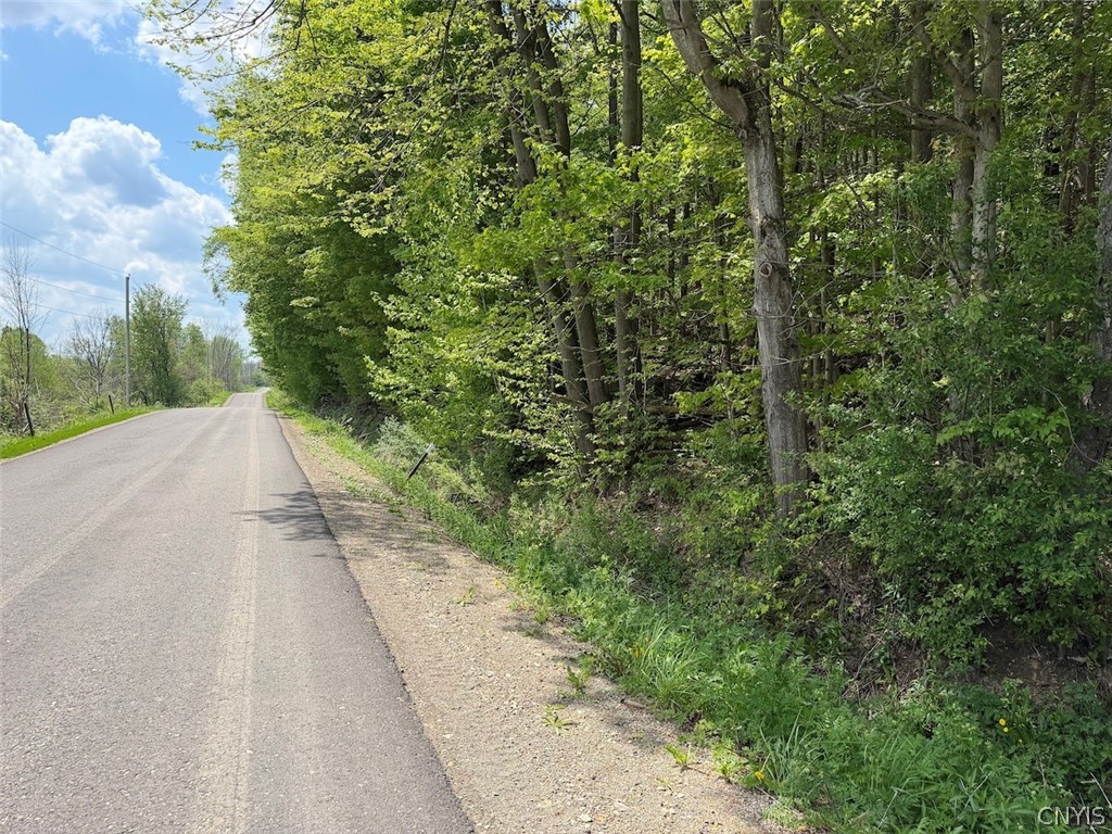 Dye Road South Dayton, NY 14138 - Photo 26 of 27