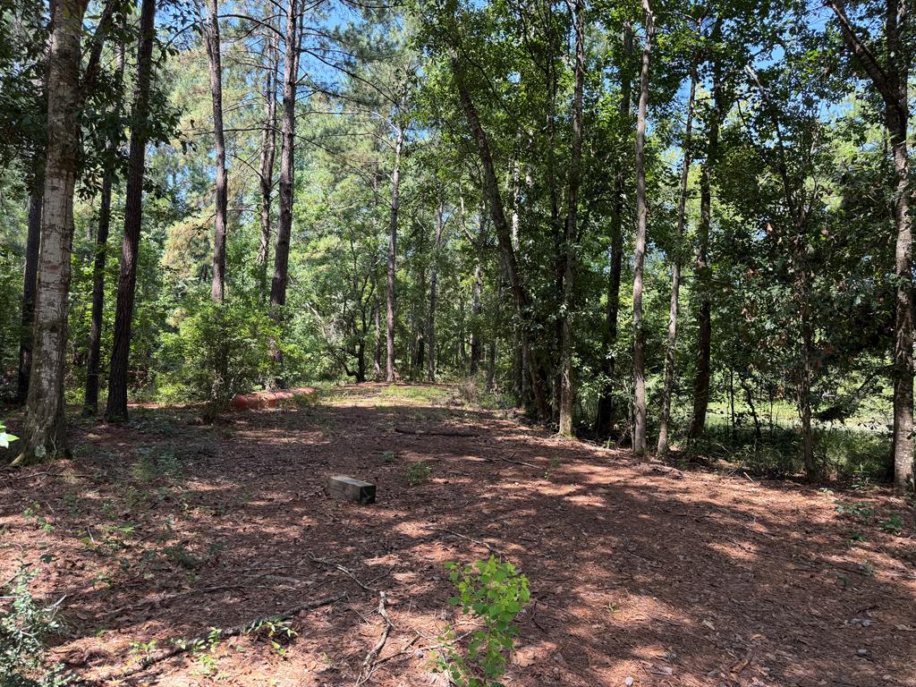 11 Skipper Road Picayune, MS 39466 - Photo 1 of 1 Main View