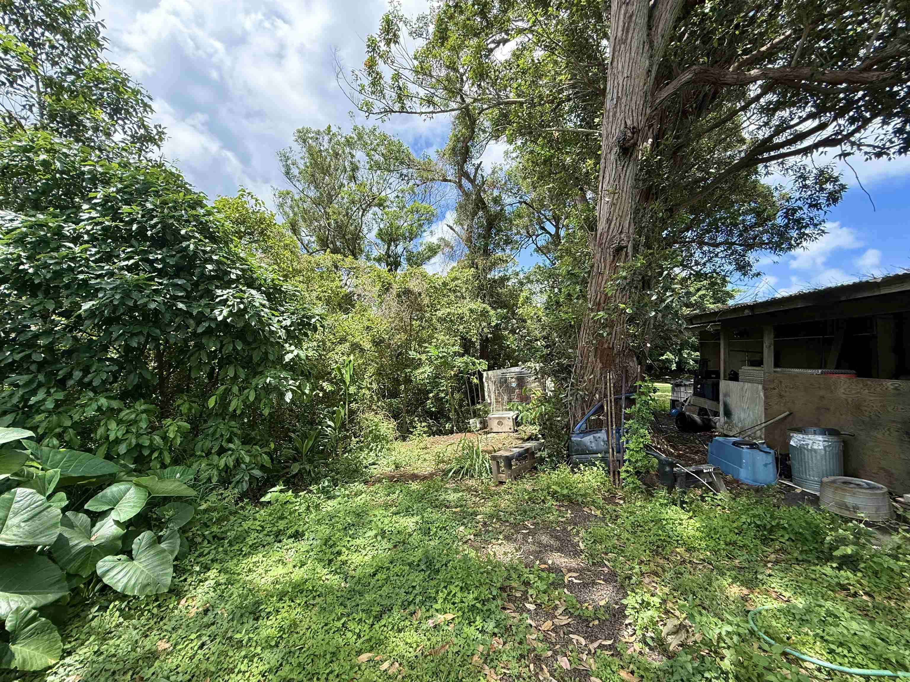 1630 Kauhikoa Road Haiku, HI 96708 - Photo 22 of 48 a view of a backyard with sitting area