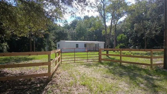 a view of a park with large trees