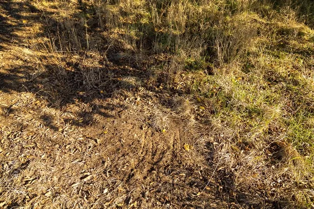 $885,000 | 6675 Irwin Road, Blue Mound, KS 66010