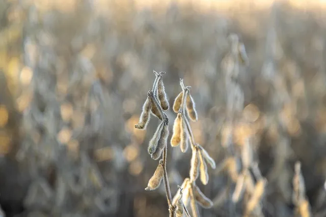 $885,000 | 6675 Irwin Road, Blue Mound, KS 66010