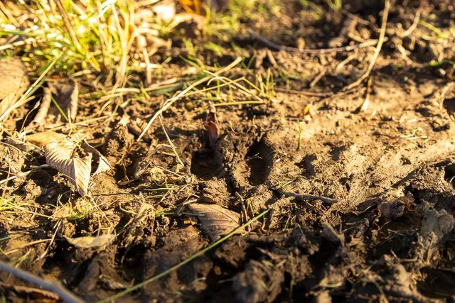 $885,000 | 6675 Irwin Road, Blue Mound, KS 66010