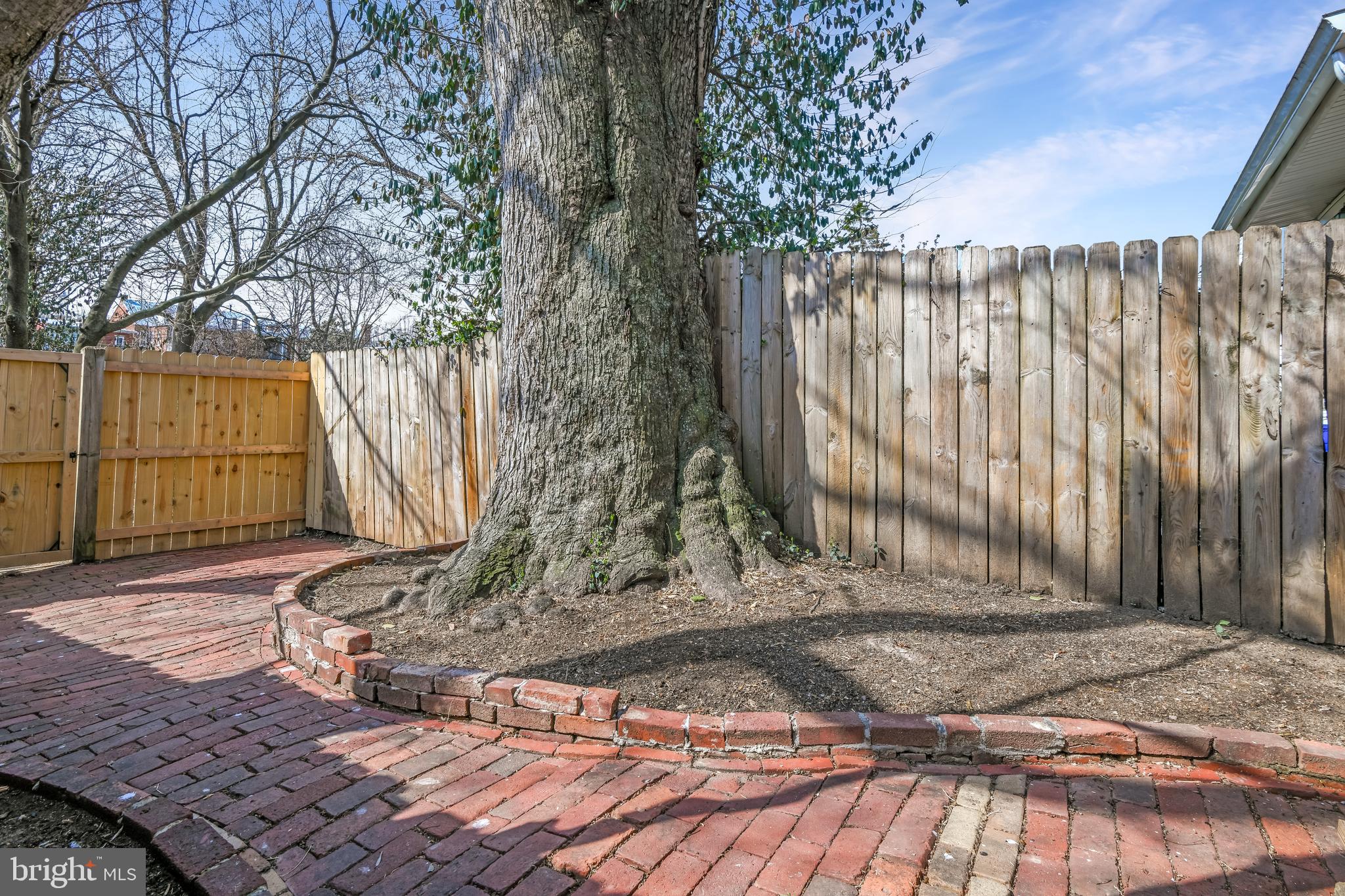 230 East 5th Street Frederick, MD 21701 - Photo 15 of 24 a backyard of a house