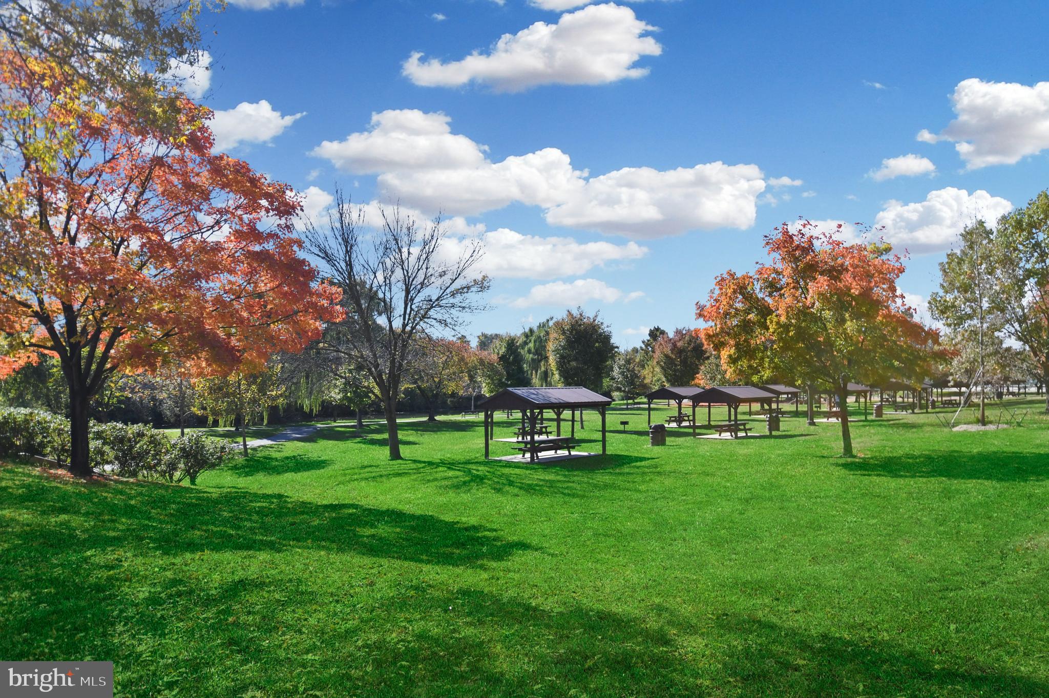 230 East 5th Street Frederick, MD 21701 - Photo 22 of 24 a view of a park with large trees