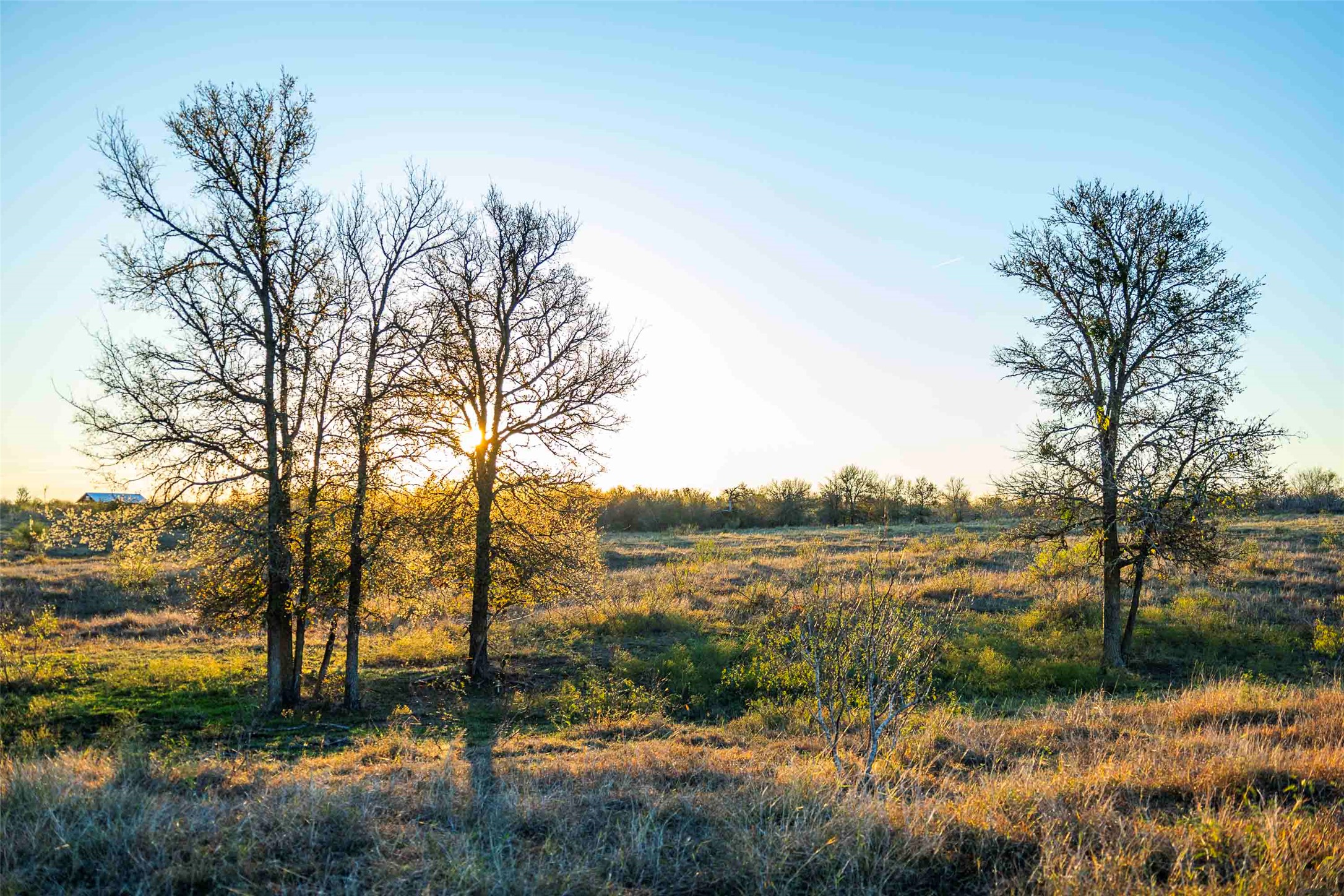 3191 County Road 463 Elgin, TX 78621 - Photo 1 of 34