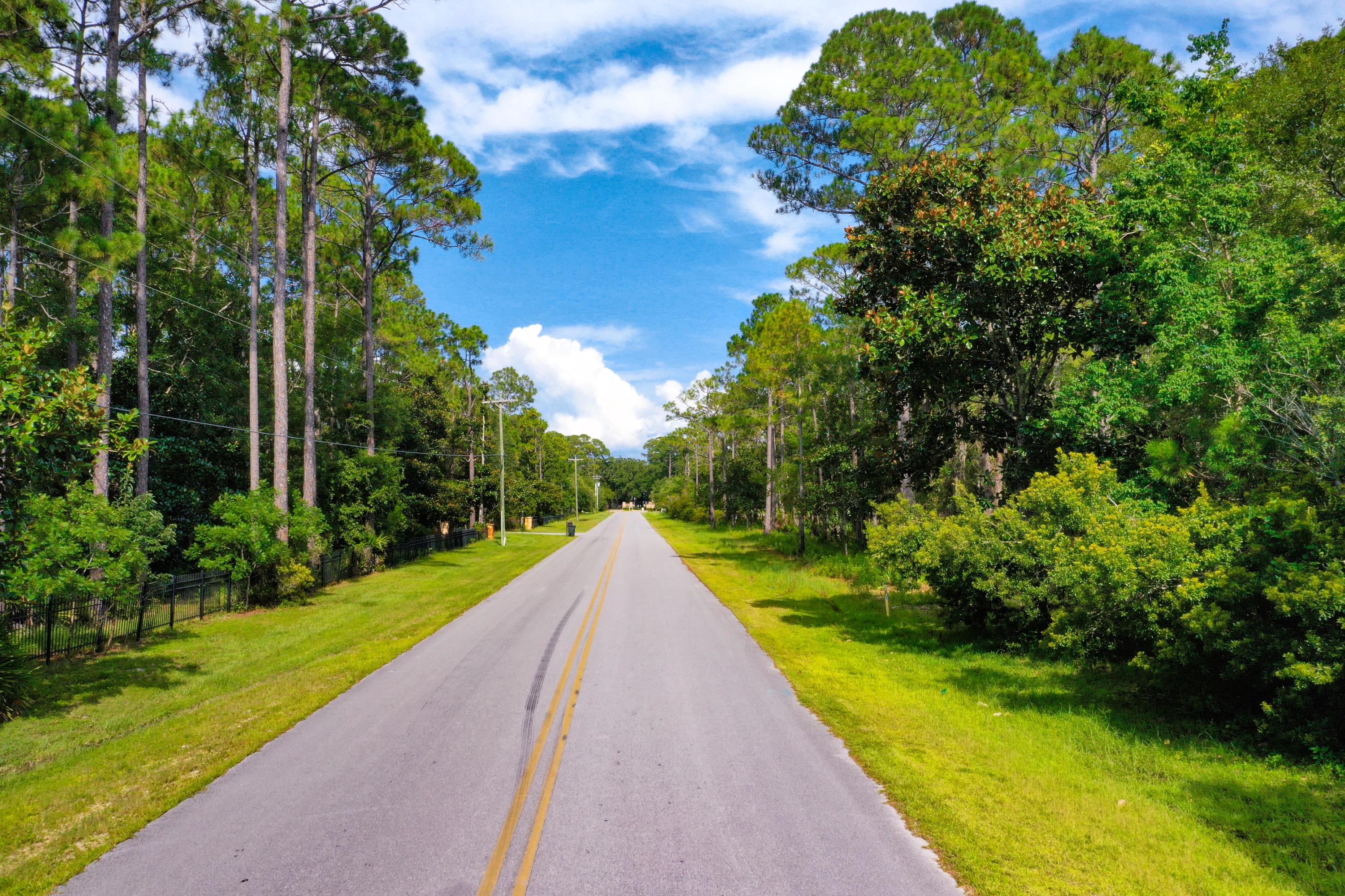 89-acres Mussett Bayou Road Santa Rosa Beach, FL 32459 - Photo 4 of 17 DJI_0605