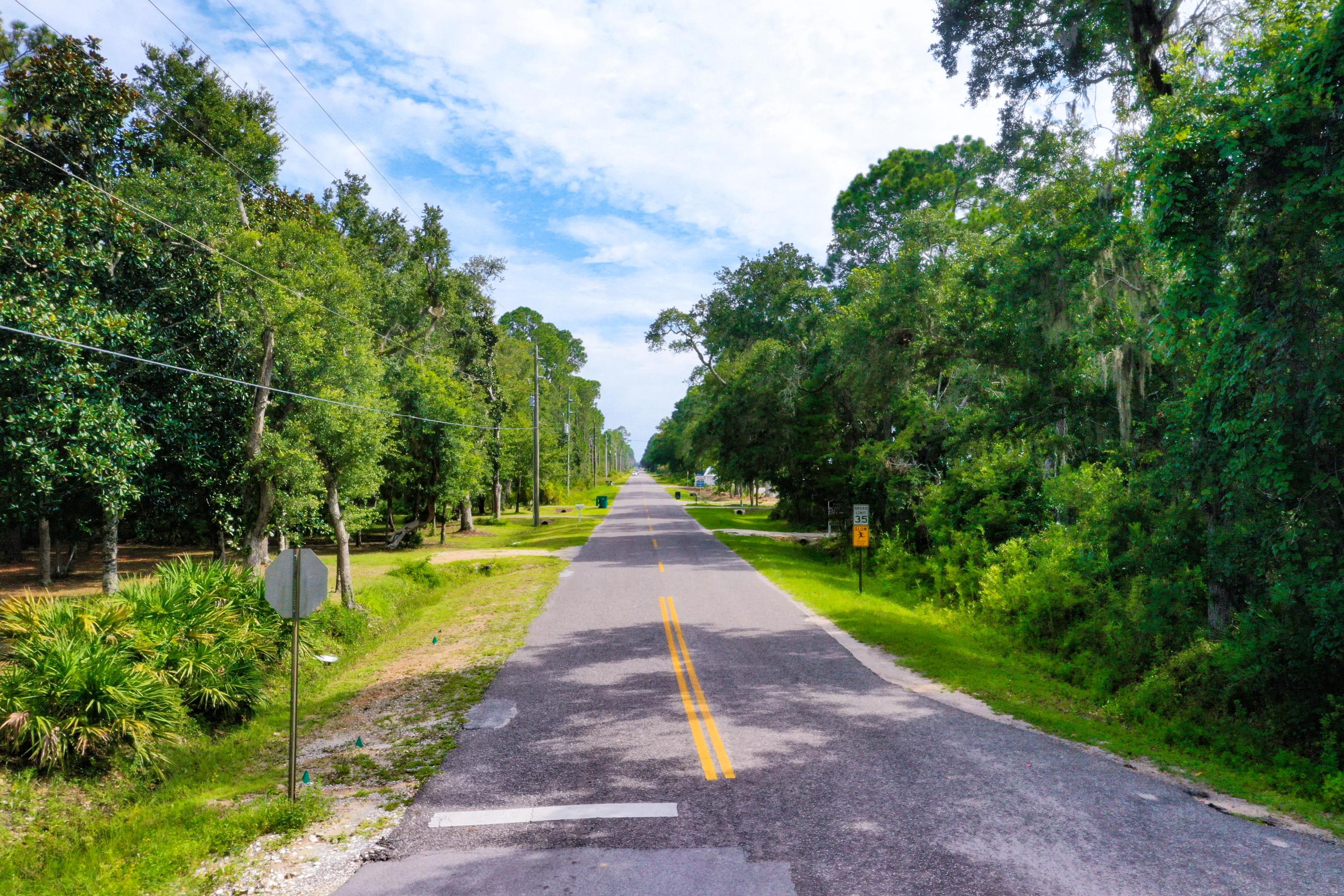 89-acres Mussett Bayou Road Santa Rosa Beach, FL 32459 - Photo 8 of 17 DJI_0576