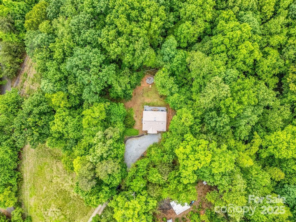 119 Celestial Way Mill Spring, NC 28756 - Photo 30 of 30