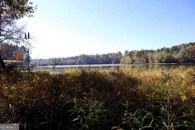 a view of a lake with houses in the back