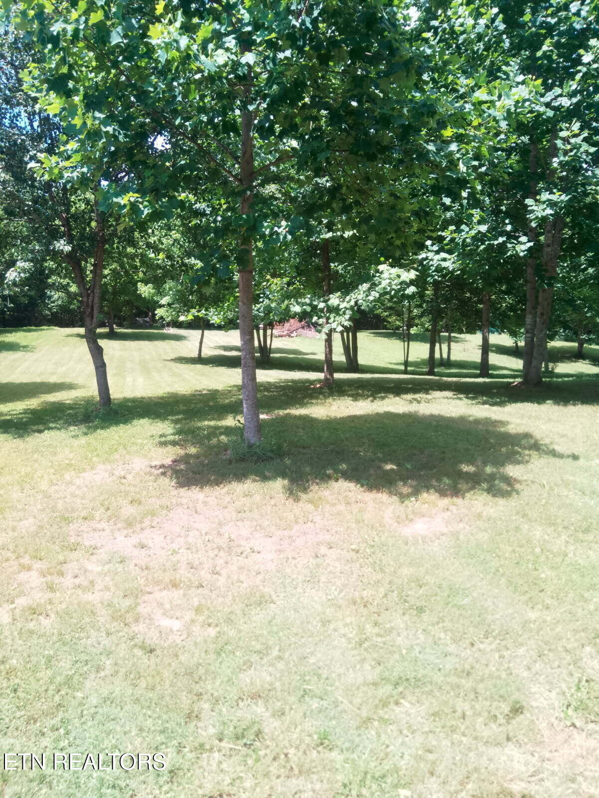 1133 Wheeler Road Harrogate, TN 37752 - Photo 15 of 32 5933159308268084251