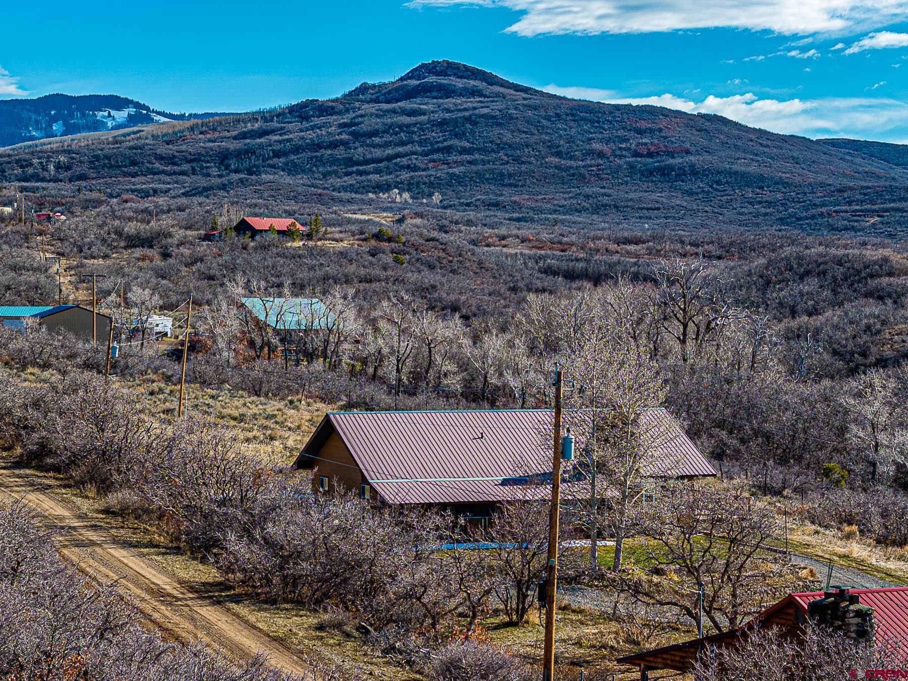25615 Starner Loop Road Cedaredge, CO 81413 - Photo 7 of 43