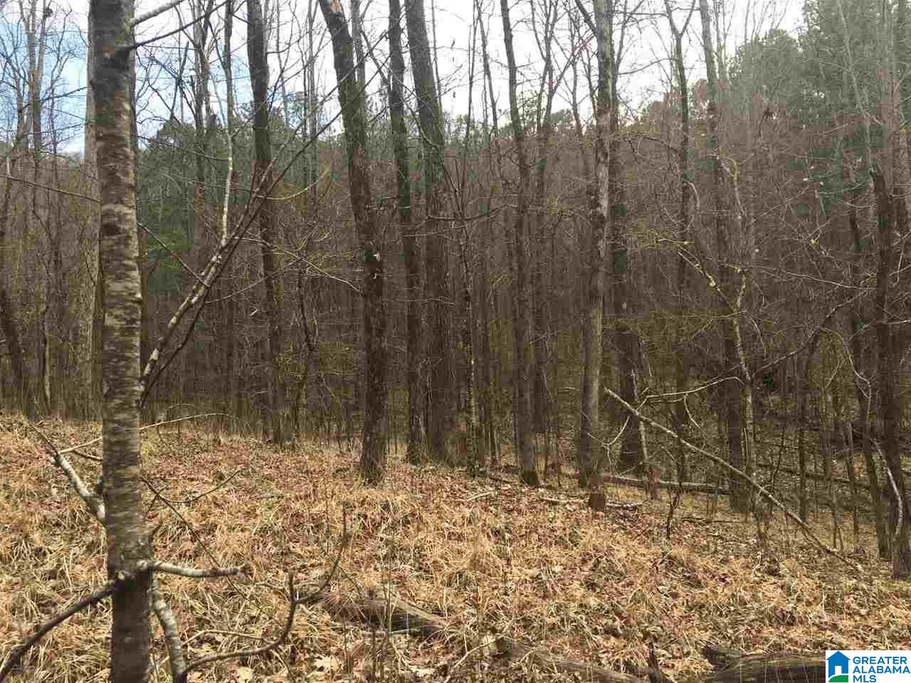 7465 Rodgers Road Southwest Leeds, AL 35094 - Photo 18 of 25