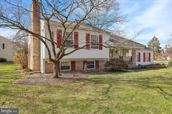 a white house that has a tree in front of it