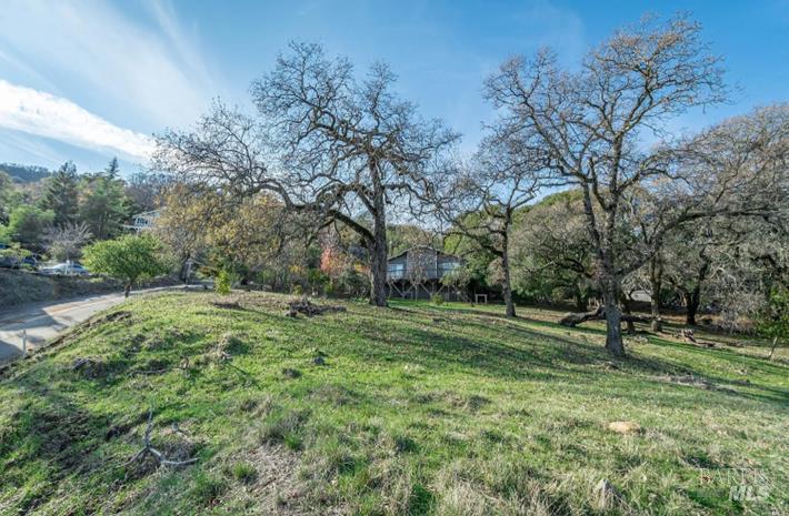 10 Ridgecrest Drive Napa, CA 94558 - Photo 8 of 13 a view of outdoor space with green field and trees
