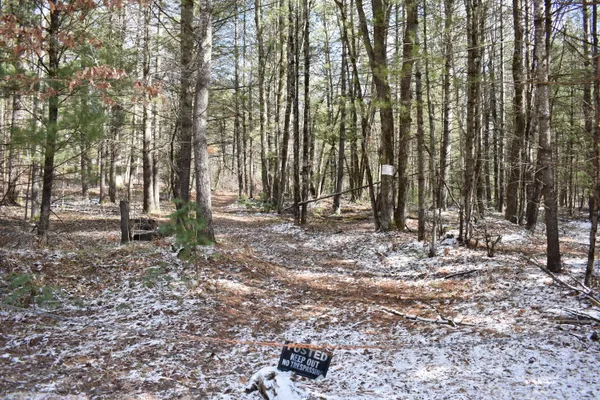 $324,900 | 5199 East Marquette Trail, Chase, MI 49623