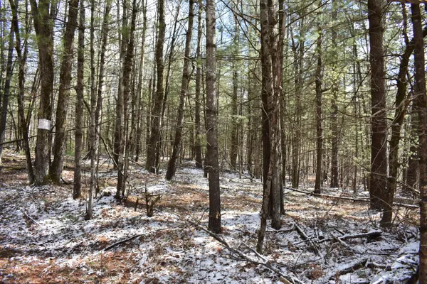 $324,900 | 5199 East Marquette Trail, Chase, MI 49623