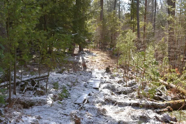 $324,900 | 5199 East Marquette Trail, Chase, MI 49623