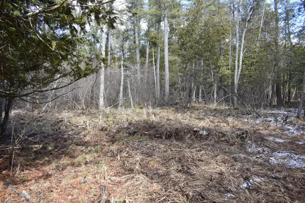 $324,900 | 5199 East Marquette Trail, Chase, MI 49623