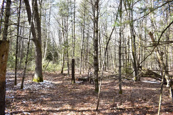 $324,900 | 5199 East Marquette Trail, Chase, MI 49623