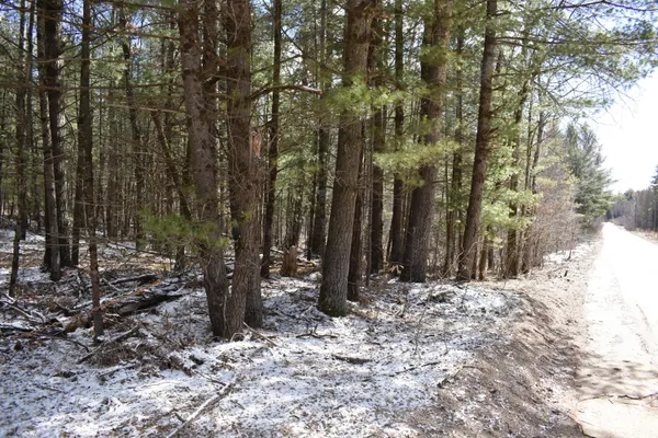 $324,900 | 5199 East Marquette Trail, Chase, MI 49623