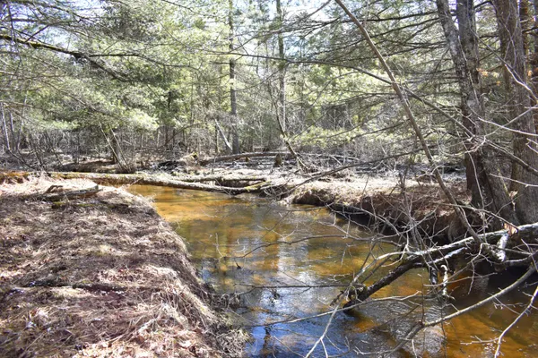 $324,900 | 5199 East Marquette Trail, Chase, MI 49623