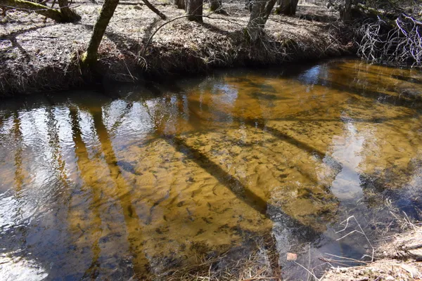 $324,900 | 5199 East Marquette Trail, Chase, MI 49623