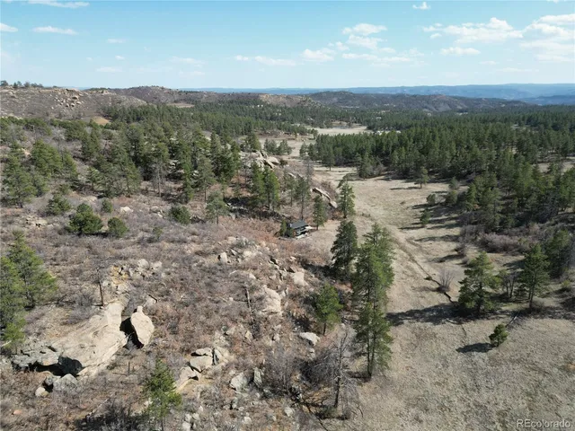 a view of a forest with mountains in the background