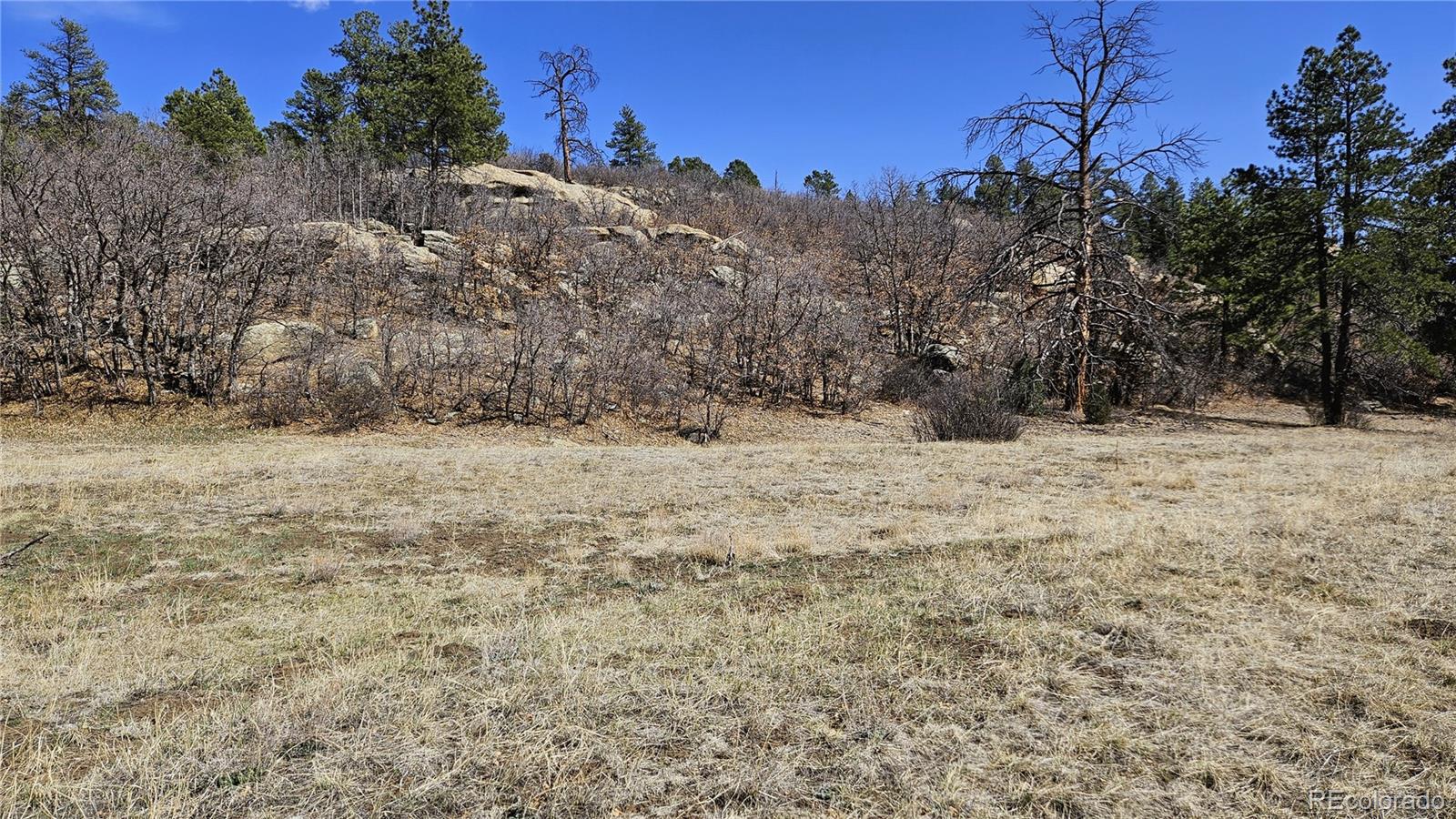 337 Rancho La Weston, CO 81091 - Photo 17 of 19 a view of snow on the side of a road