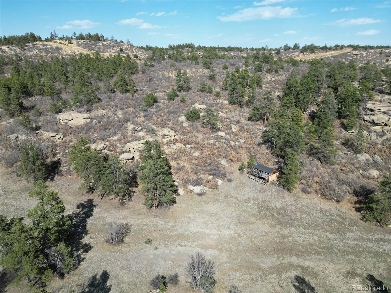 337 Rancho La Weston, CO 81091 - Photo 18 of 19 a view of a field with trees in the background
