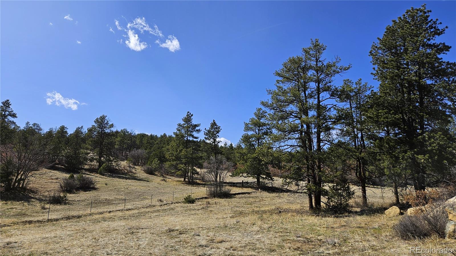 337 Rancho La Weston, CO 81091 - Photo 3 of 19 a view of a yard with a tree