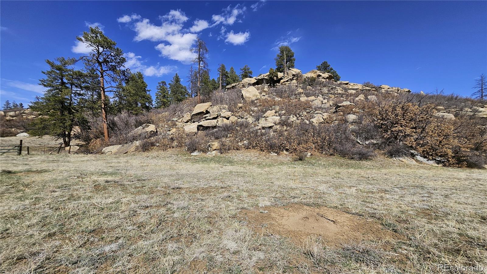 337 Rancho La Weston, CO 81091 - Photo 5 of 19 a view of a dirt yard with a tree
