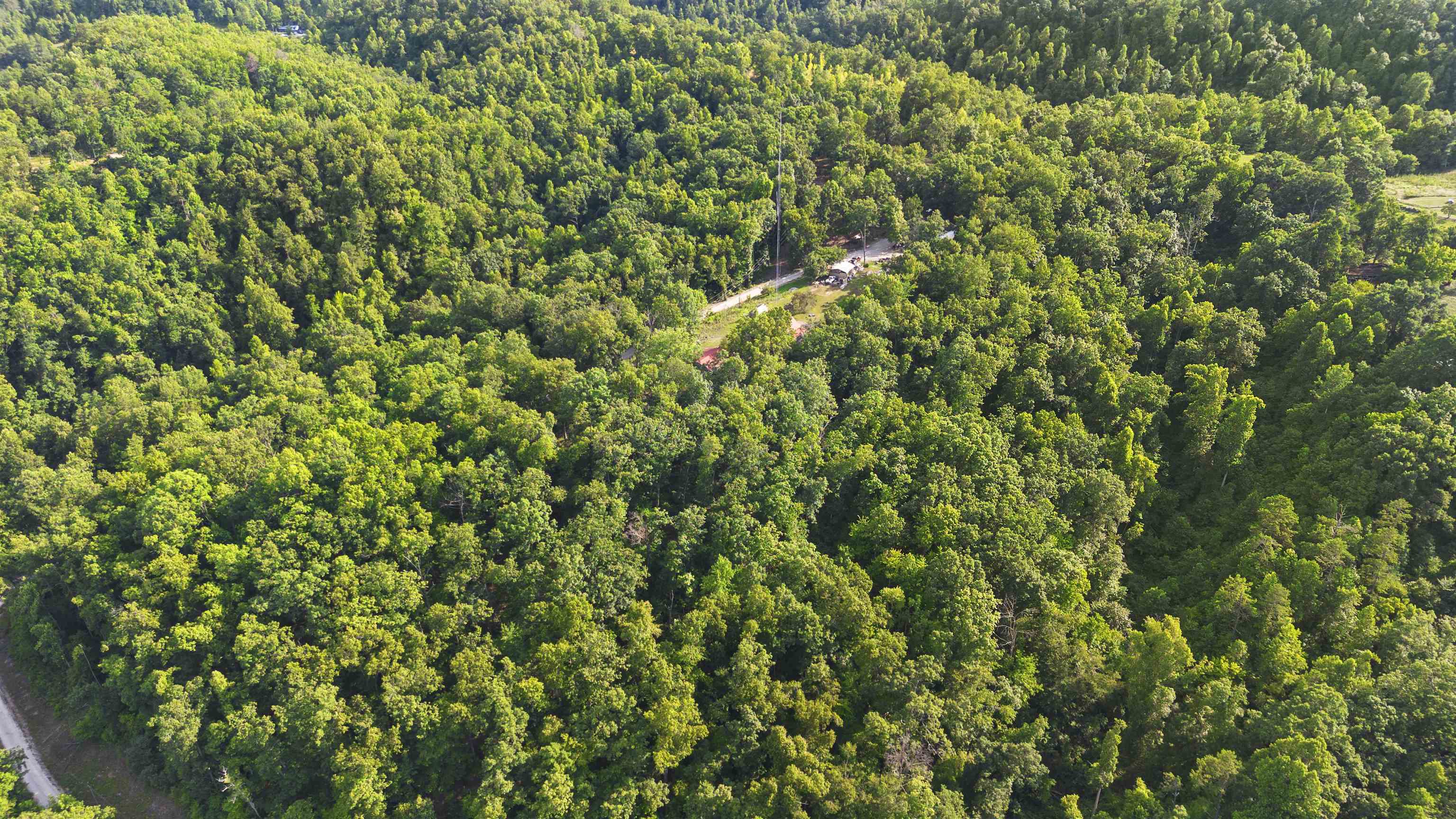 554 Foxfire Mountain Road Grayson, KY 41143 - Photo 46 of 47 Gallery Image 46