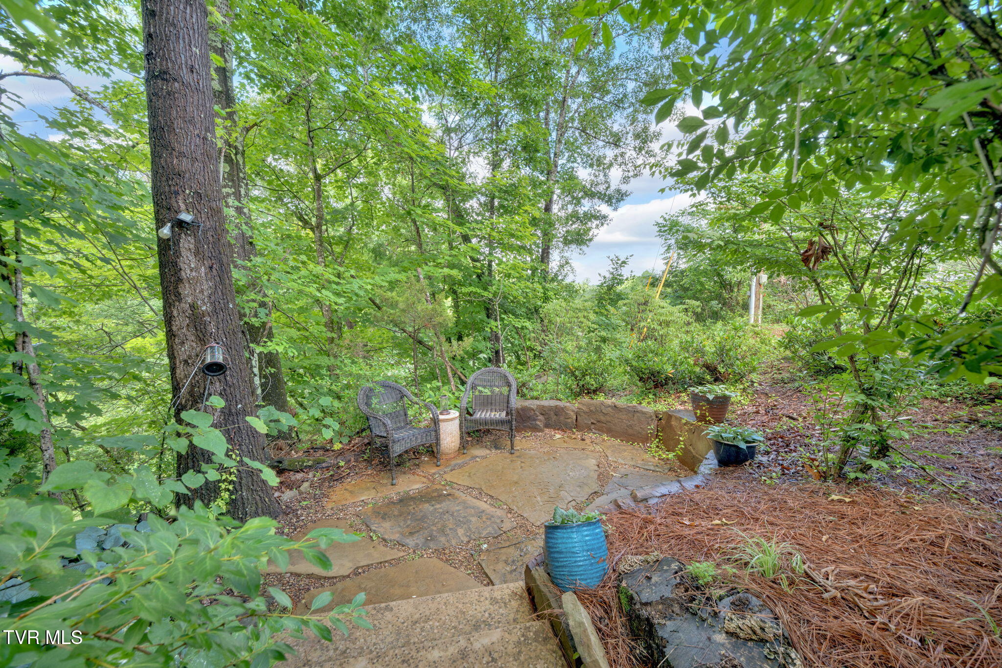 266 Mark Street Gate City, VA 24251 - Photo 71 of 111 28-web-or-mls-DSC03616