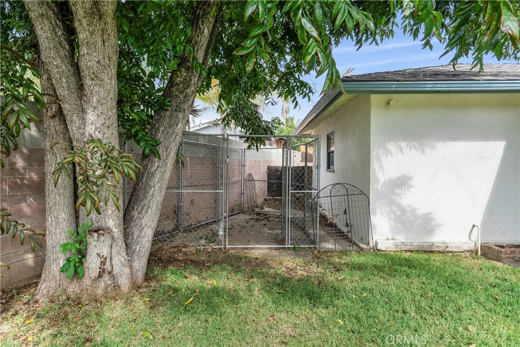 4669 Edgewood Place Riverside, CA 92506 - Photo 24 of 26 a backyard of a house with lawn chairs plants and large tree