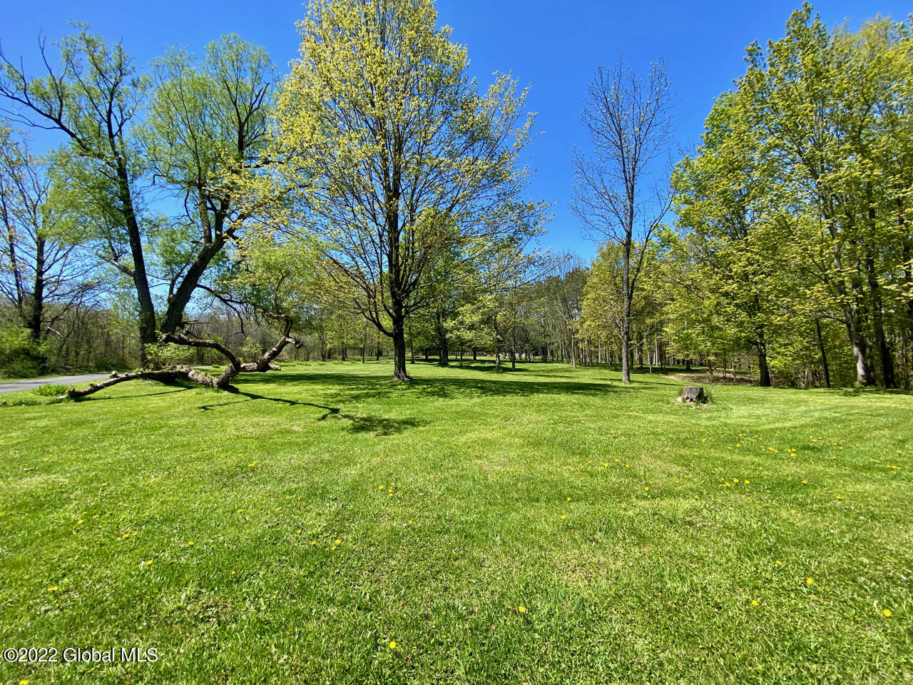 208 Ruhle Road South Malta, NY 12019 - Photo 37 of 50 44