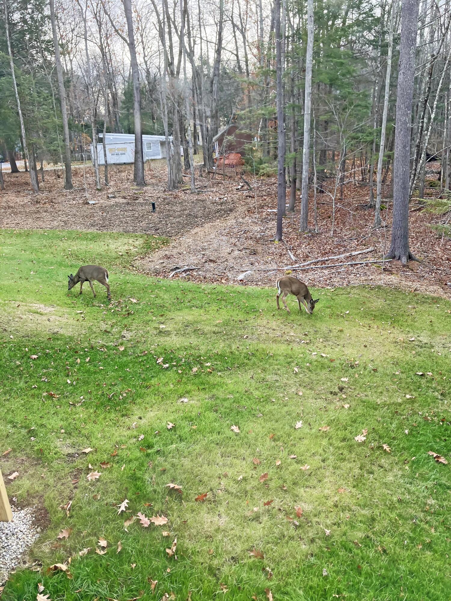 1 Friendly Way Windham, ME 04062 - Photo 50 of 51 IMG_3990