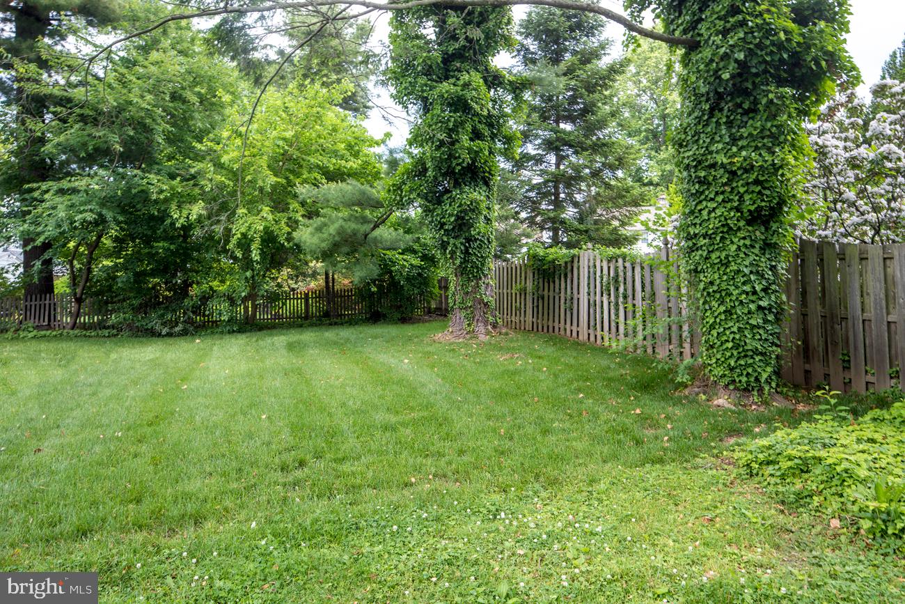 625 Harvard Road Bala Cynwyd, PA 19004 - Photo 18 of 21 Gallery Image 18