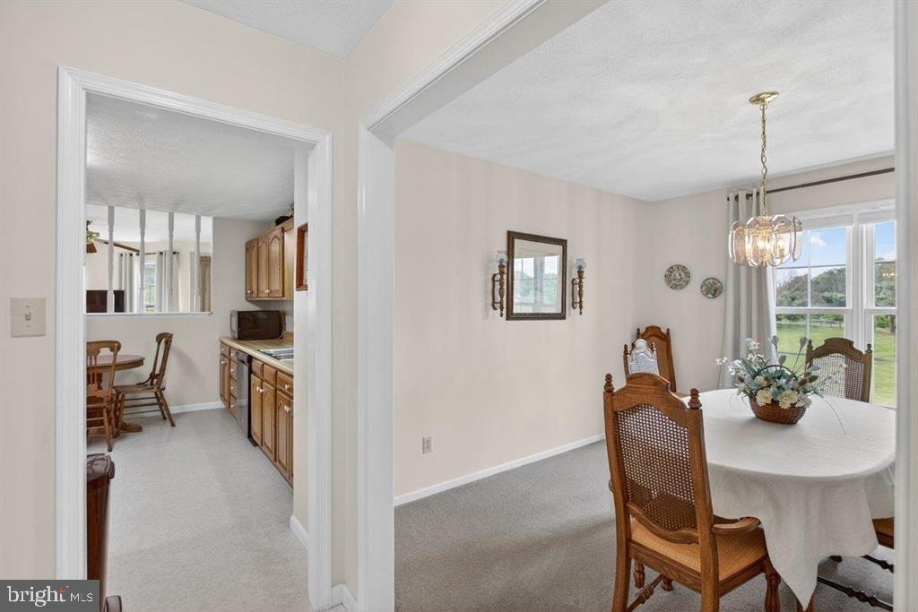 2220 Pine Woods Road Quicksburg, VA 22847 - Photo 28 of 55