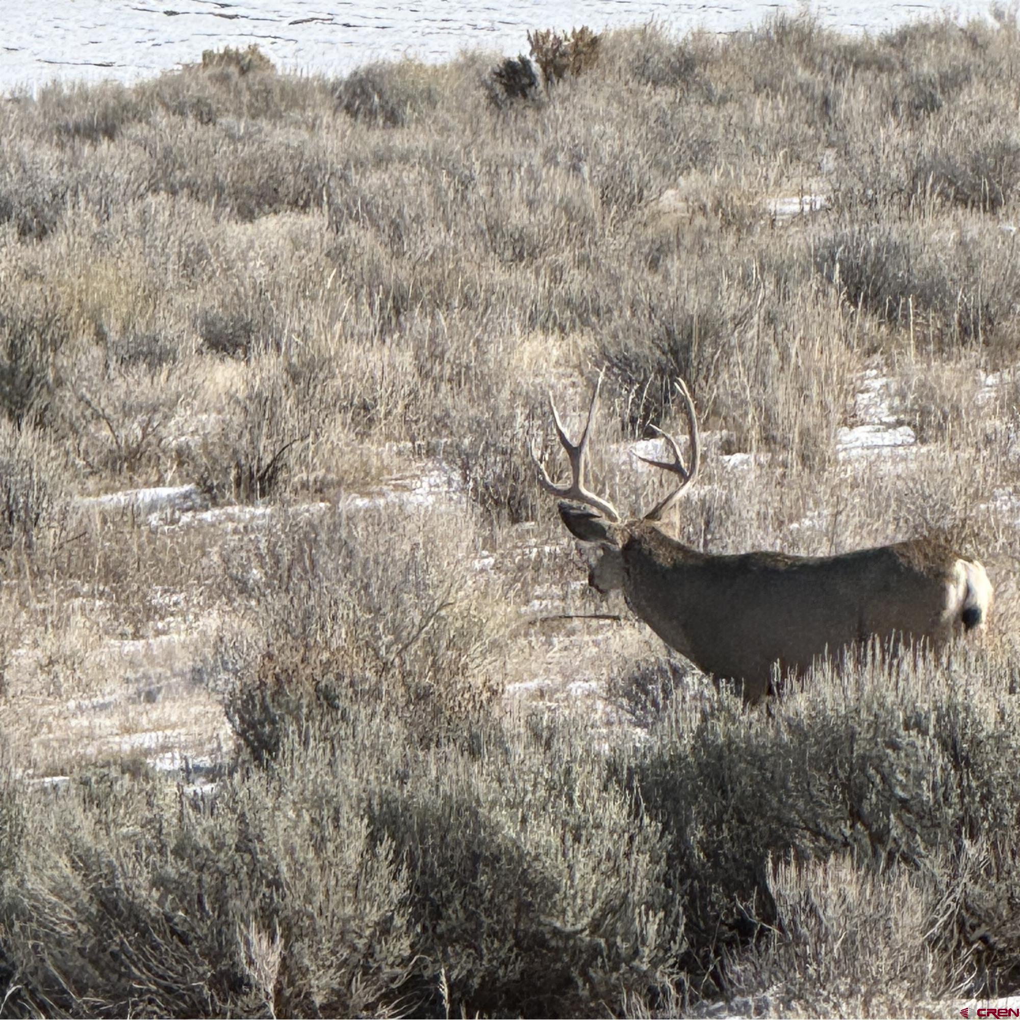 2997 20.5 Road Cortez, CO 81321 - Photo 4 of 27 Gallery Image 4