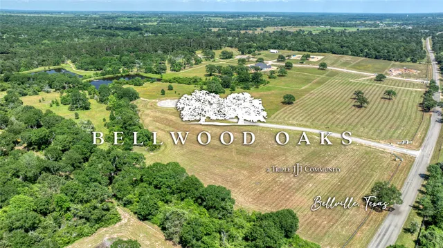 $413,725 | 299 Bellwood Lake Lane, Bellville, TX 77418