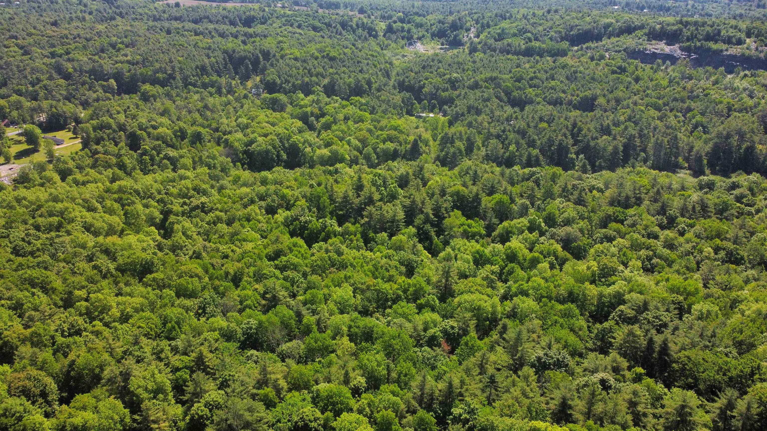 0 Bullfrog Hollow Road Wells, VT 05774 - Photo 21 of 26