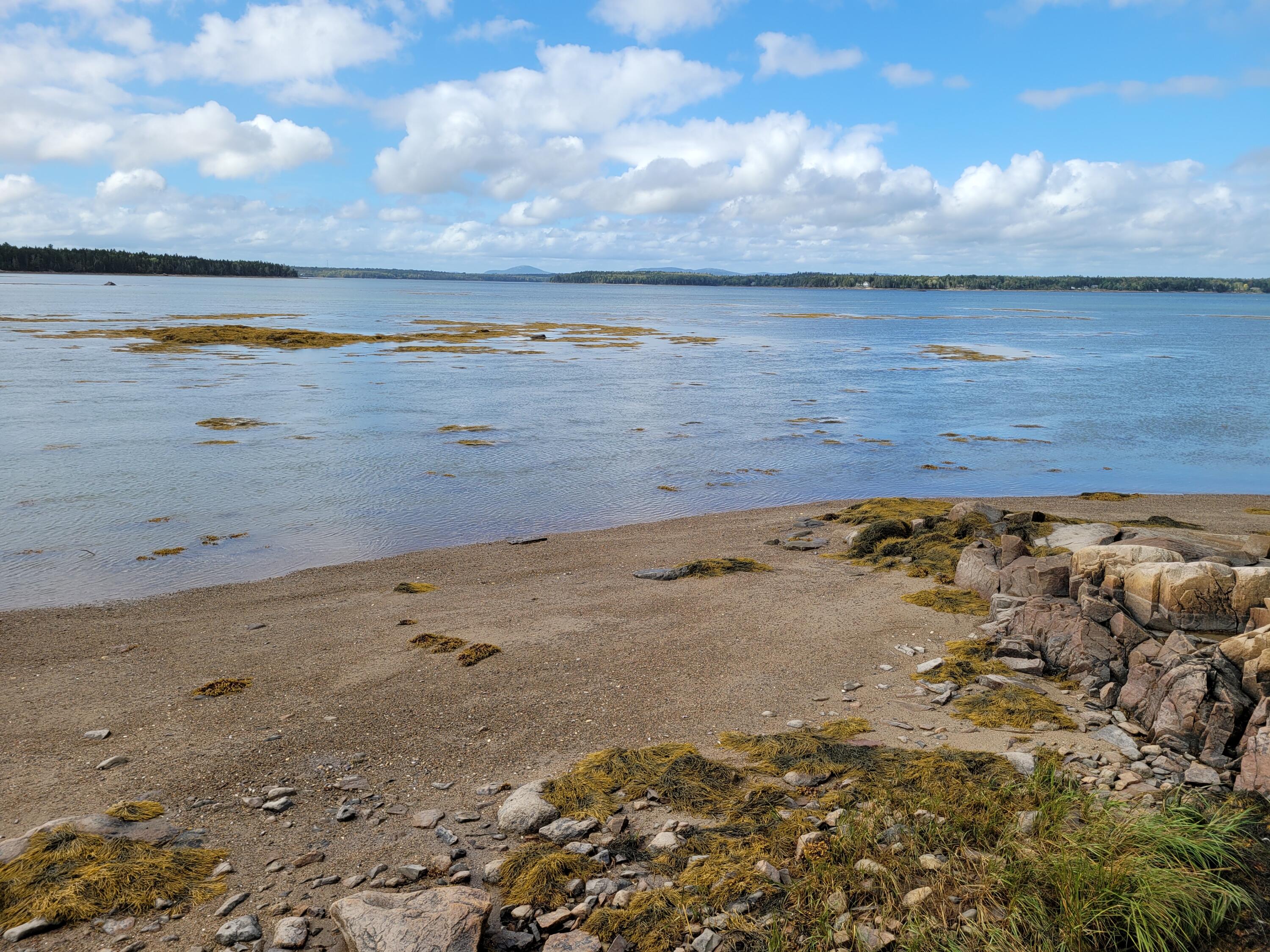 36 Peninsula Shores Road Corea, ME 04624 - Photo 1 of 13 Sand Beach w/ Views