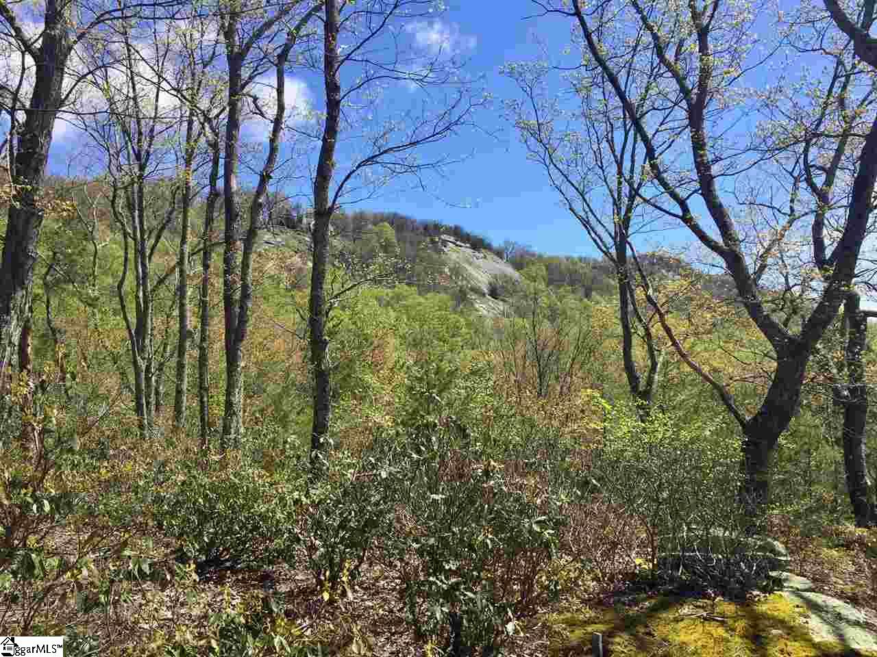 401 Stony Road Landrum, SC 29356 - Photo 2 of 8