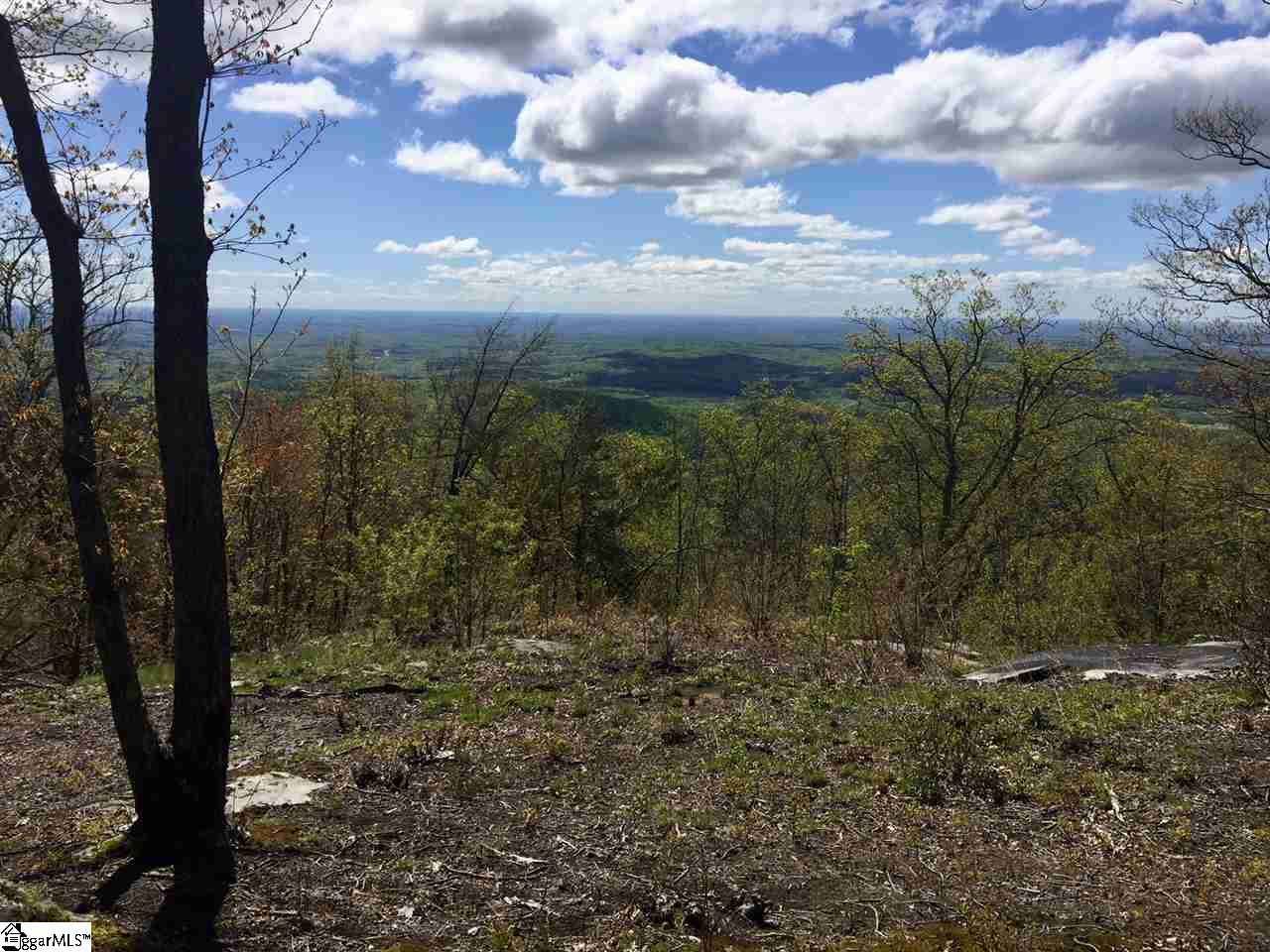 401 Stony Road Landrum, SC 29356 - Photo 4 of 8