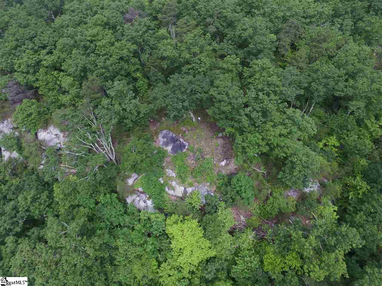 401 Stony Road Landrum, SC 29356 - Photo 5 of 8