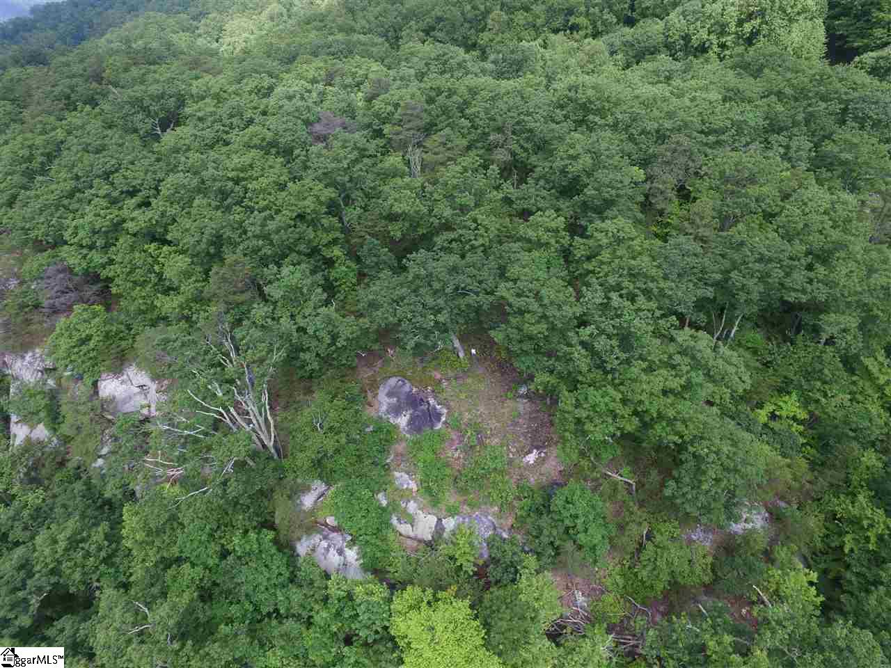 401 Stony Road Landrum, SC 29356 - Photo 6 of 8