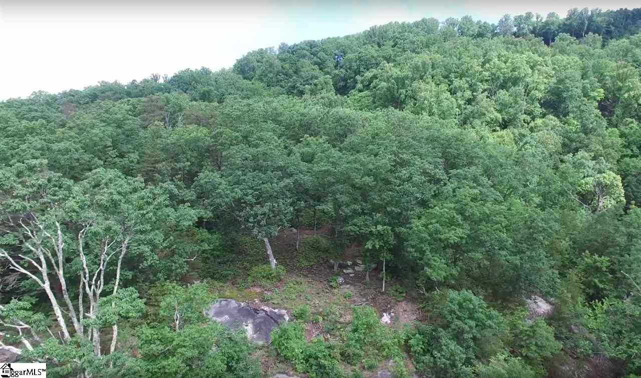 401 Stony Road Landrum, SC 29356 - Photo 7 of 8